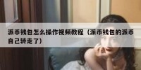 派币钱包怎么操作视频教程（派币钱包的派币自己转走了）