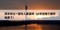 派币会让一部分人暴富吗（pi币在哪个国开始用了）