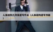 人体结构几何体速写作业（人体结构速写书籍）