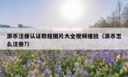 派币注册认证教程图片大全视频播放（派币怎么注册?）