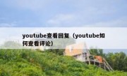 youtube查看回复（youtube如何查看评论）