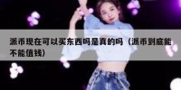 派币现在可以买东西吗是真的吗（派币到底能不能值钱）