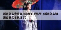 派币怎么查看自己注册的手机号（派币怎么知道自己实名认证了）