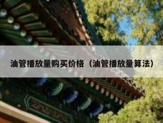 油管播放量购买价格（油管播放量算法）