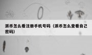 派币怎么看注册手机号码（派币怎么查看自己密码）