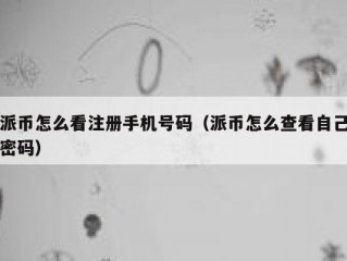 派币怎么看注册手机号码（派币怎么查看自己密码）