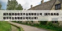 国外服务器租赁平台有哪些公司（国外服务器租赁平台有哪些公司可以用）