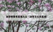油管哪里有直播入口（油管怎么找直播）