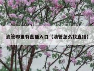 油管哪里有直播入口（油管怎么找直播）