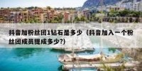 抖音加粉丝团1钻石是多少（抖音加入一个粉丝团成员提成多少?）