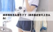 派币钱包怎么用不了了（派币最近登不上怎么办）