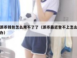 派币钱包怎么用不了了（派币最近登不上怎么办）