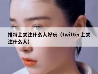 推特上关注什么人好玩（twitter上关注什么人）