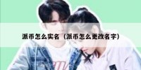 派币怎么实名（派币怎么更改名字）