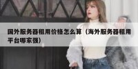 国外服务器租用价格怎么算（海外服务器租用平台哪家强）