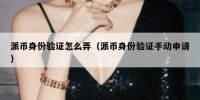 派币身份验证怎么弄（派币身份验证手动申请）