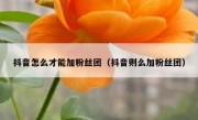 抖音怎么才能加粉丝团（抖音则么加粉丝团）