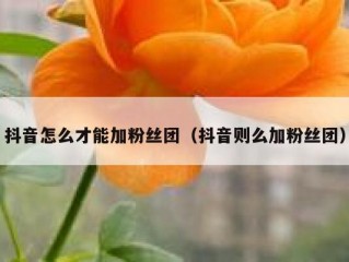 抖音怎么才能加粉丝团（抖音则么加粉丝团）