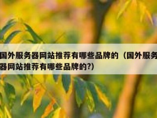 国外服务器网站推荐有哪些品牌的（国外服务器网站推荐有哪些品牌的?）
