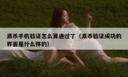 派币手机验证怎么算通过了（派币验证成功的界面是什么样的）