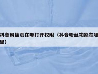 抖音粉丝页在哪打开权限（抖音粉丝功能在哪里）