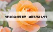 如何进入油管看视频（油管视频怎么观看）