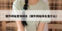 国外网站查询域名（国外网站域名是什么）