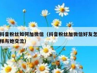 抖音粉丝如何加微信（抖音粉丝加微信好友怎样与她交流）