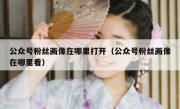 公众号粉丝画像在哪里打开（公众号粉丝画像在哪里看）
