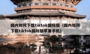 国内如何下载tiktok国际版（国内如何下载tiktok国际版苹果手机）