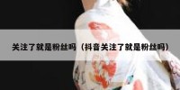 关注了就是粉丝吗（抖音关注了就是粉丝吗）