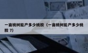 一亩桃树能产多少桃胶（一亩桃树能产多少桃胶 7）