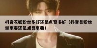 抖音花钱粉丝多好还是点赞多好（抖音是粉丝量重要还是点赞重要）