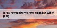 如何在推特找到那种小视频（推特上怎么找小视频）