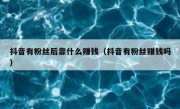 抖音有粉丝后靠什么赚钱（抖音有粉丝赚钱吗）