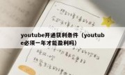 youtube开通获利条件（youtube必须一年才能盈利吗）