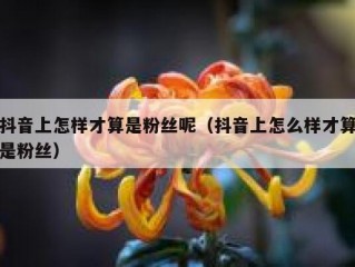 抖音上怎样才算是粉丝呢（抖音上怎么样才算是粉丝）