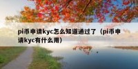 pi币申请kyc怎么知道通过了（pi币申请kyc有什么用）