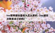 ins视频播放量收入怎么算的（ins播放次数算自己的吗）