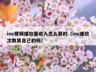 ins视频播放量收入怎么算的（ins播放次数算自己的吗）