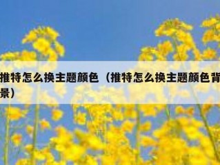 推特怎么换主题颜色（推特怎么换主题颜色背景）