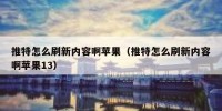 推特怎么刷新内容啊苹果（推特怎么刷新内容啊苹果13）