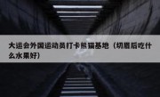 大运会外国运动员打卡熊猫基地（切眉后吃什么水果好）