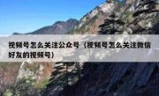 视频号怎么关注公众号（视频号怎么关注微信好友的视频号）