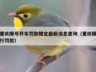 重庆限号开车罚款规定最新消息查询（重庆限行罚款）