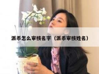 派币怎么审核名字（派币审核姓名）