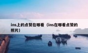 ins上的点赞在哪看（ins在哪看点赞的照片）