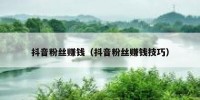 抖音粉丝赚钱（抖音粉丝赚钱技巧）
