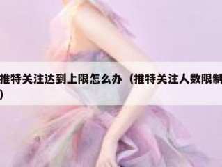 推特关注达到上限怎么办（推特关注人数限制）