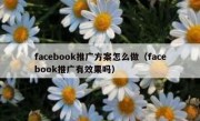 facebook推广方案怎么做（facebook推广有效果吗）